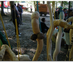 slet_slavonija_00009