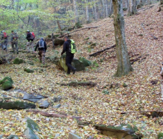 20151101_mali_papuk_013