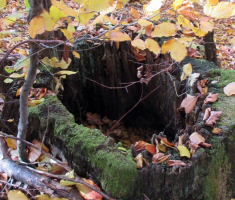 20151101_mali_papuk_024