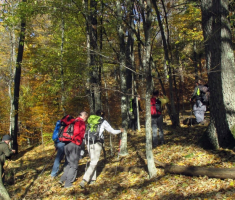 20151101_mali_papuk_032