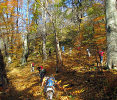 20151101_mali_papuk_035