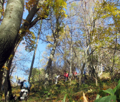 20151101_mali_papuk_037