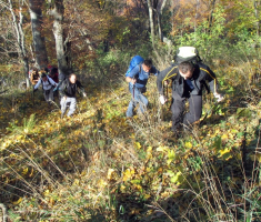 20151101_mali_papuk_038