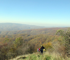 20151101_mali_papuk_042