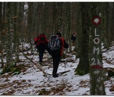 ispo005