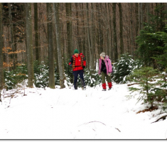 ispo010b