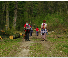 prigorje_033