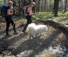 20170402_papuk_035