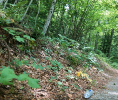 20240602_plitvicki_maraton_42km_235