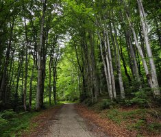20240602_plitvicki_maraton_42km_326