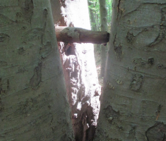 20170702_krndija_007