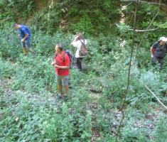 20170702_krndija_022