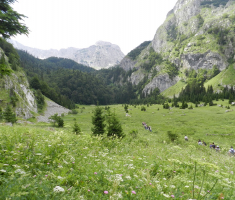 20170702_sutjeska_007