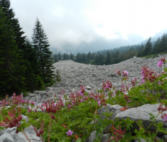 20170702_sutjeska_032