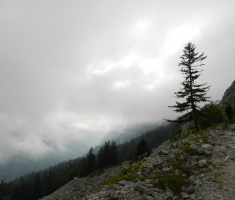 20170702_sutjeska_033