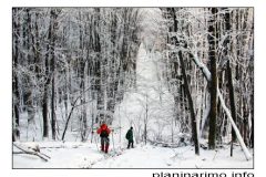 03.01.2009. Papuk