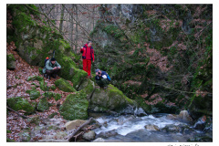 03.01.2010. Papuk