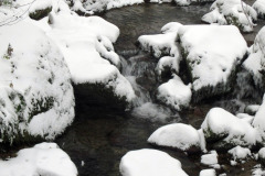 03.01.2016. - Srčani pohod