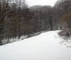 20160103_papuk_005