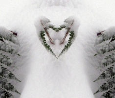 20160103_papuk_014