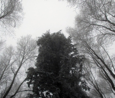 20160103_papuk_027