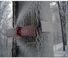 papuk_20130203_00002