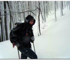 papuk_20130203_00003