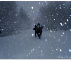 papuk_20130203_00004