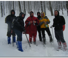 papuk_20130203_00010