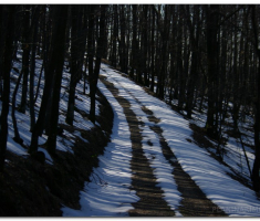 krndija_2013030300001