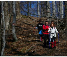 krndija_2013030300005