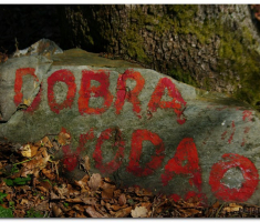 krndija_2013030300011