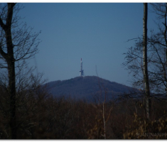 krndija_2013030300027