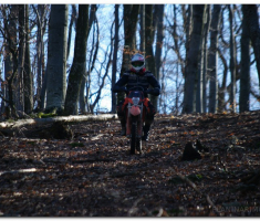 krndija_2013030300029