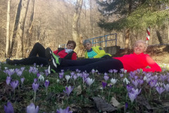 03.03.2019. - Život bez krpelja