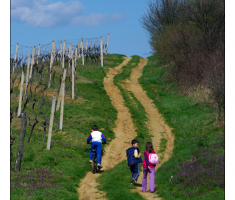 Prema vidikovcu