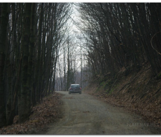 ludorije_001