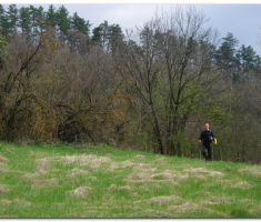 ludorije_010