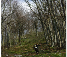 ludorije_025