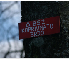 ludorije_026