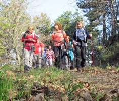 20160403_stijenjaci_krndije_025