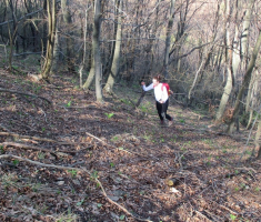 20160403_stijenjaci_krndije_045