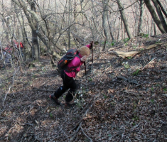 20160403_stijenjaci_krndije_048