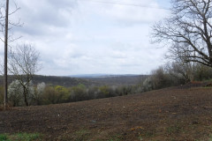 03.04.2021. - Borovik trail