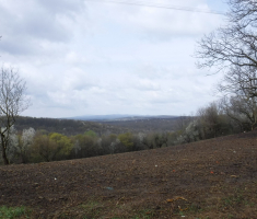 20210403_borovik_trail_100