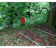 abseil