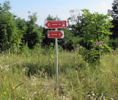 20140803_krndija_002