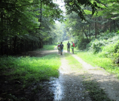 20140803_krndija_048