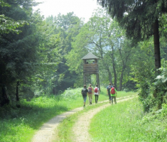 20140803_krndija_049