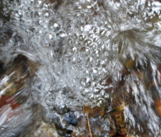 20151003_papuk_034